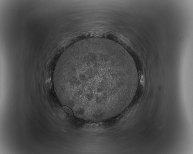 X0000086760771200704201744