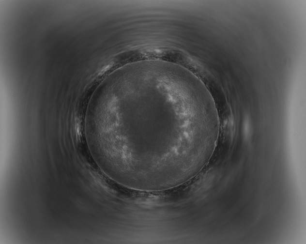 X0000086760772200704201744