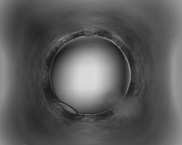 X0000086760773200704201744