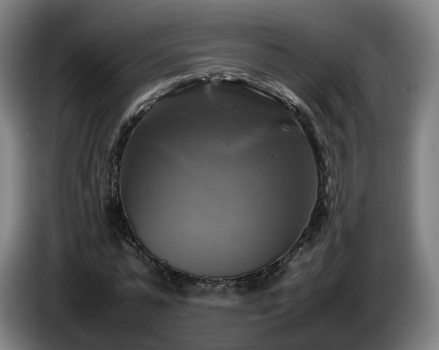 X0000086760775200704201744