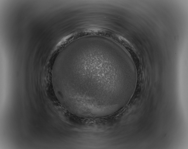 X0000086760776200704201744
