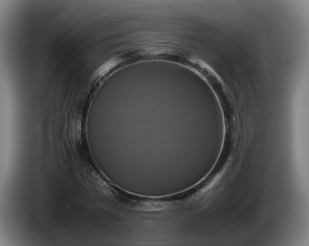 X0000086760777200704201744
