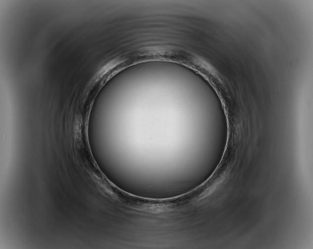X0000086760778200704201744