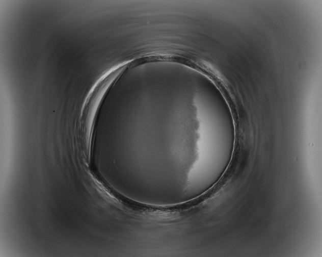 X0000086760779200704201744