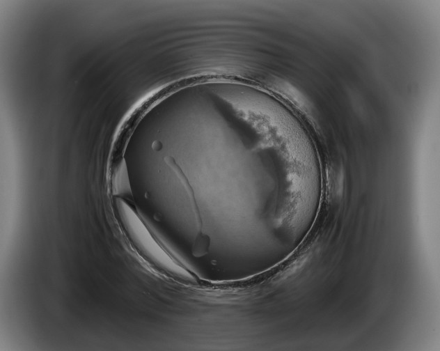 X0000086760780200704201744