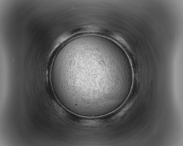 X0000086760781200704201744