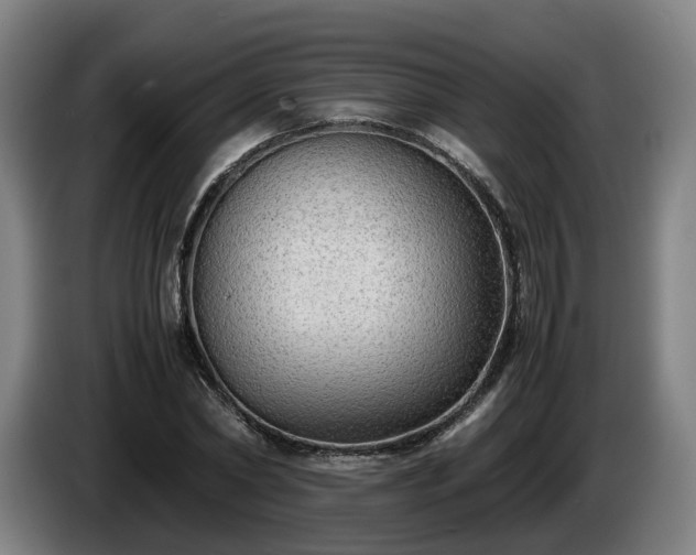 X0000086760782200704201744