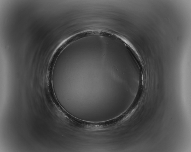 X0000086760783200704201744