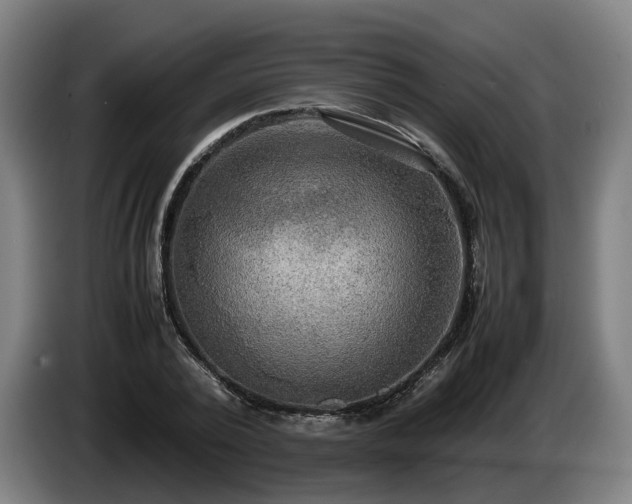 X0000086760784200704201744