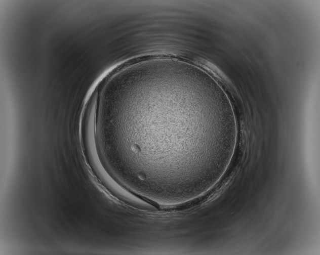 X0000086760788200704201744
