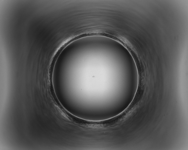 X0000086760789200704201744