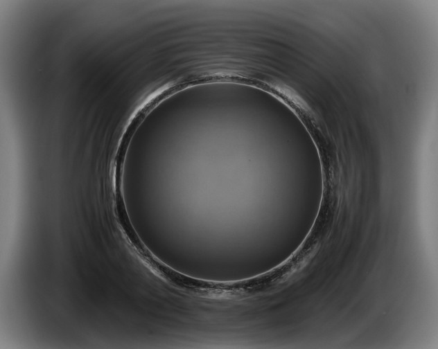 X0000086760790200704201744