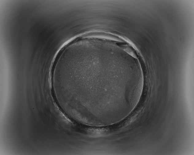 X0000086760791200704201744