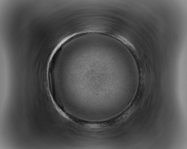 X0000086760792200704201744