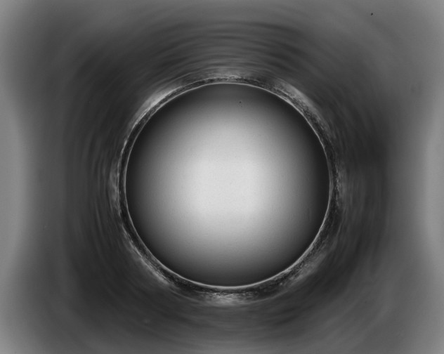 X0000086760794200704201744
