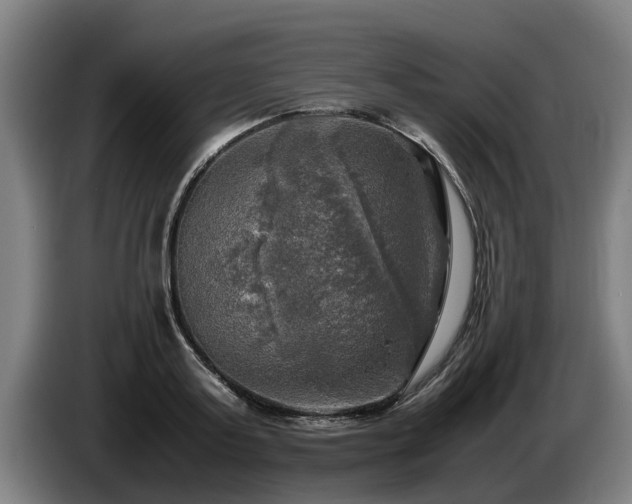 X0000086760795200704201744