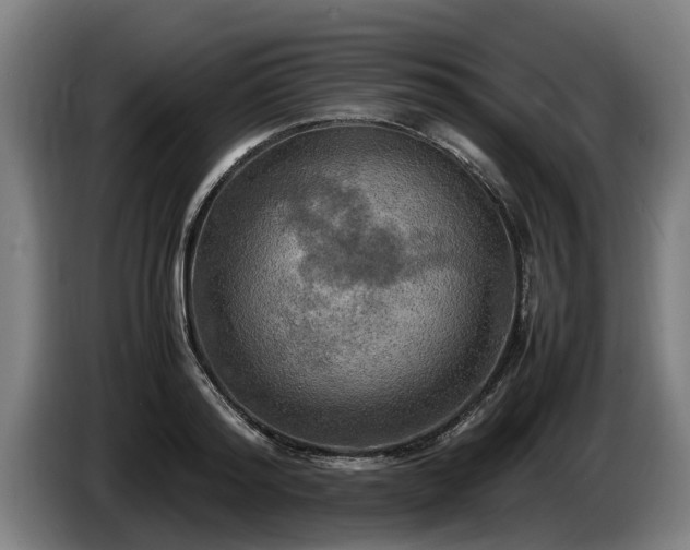 X0000086760796200704201744
