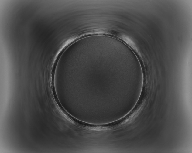 X0000086760797200704201744