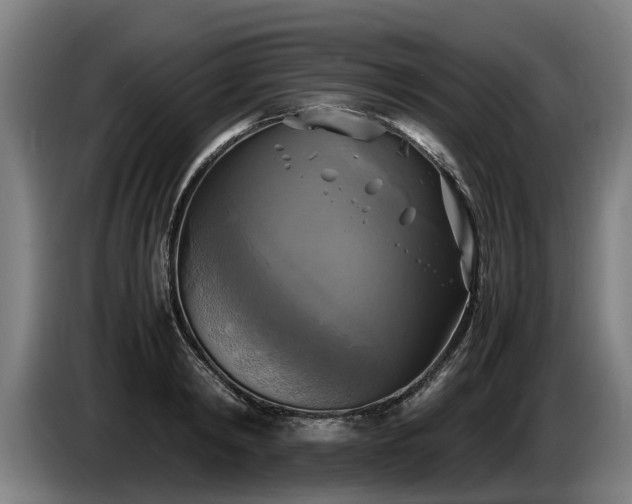 X0000086760798200704201744