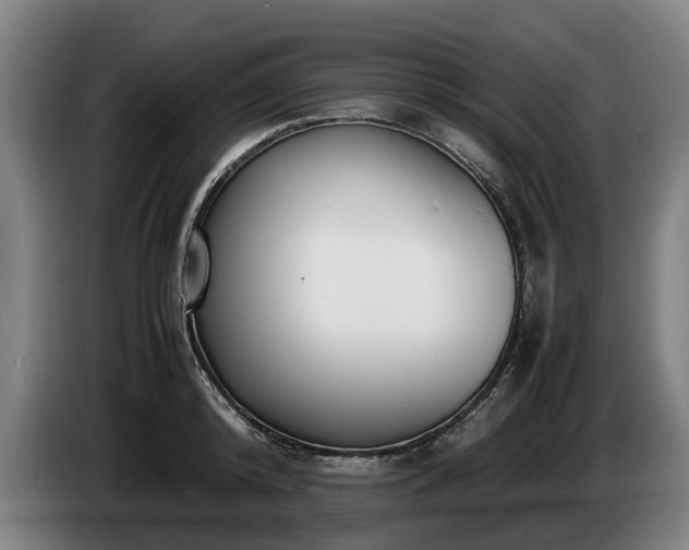 X0000086760800200704201744