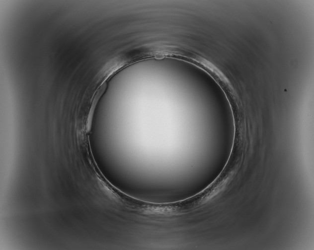 X0000086760801200704201744
