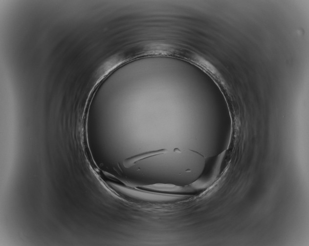 X0000086760802200704201744