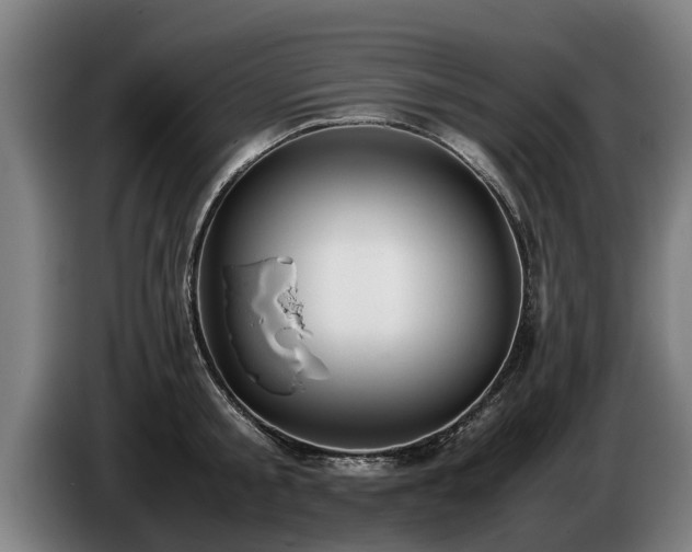 X0000086760805200704201744