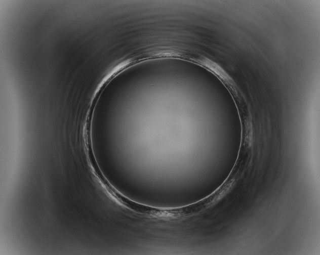 X0000086760806200704201744