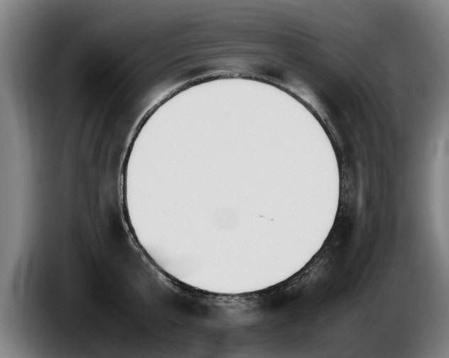 X0000086760807200704201744