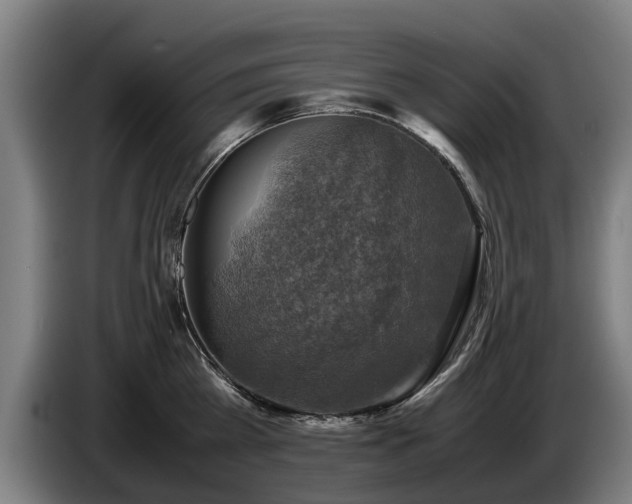 X0000086760809200704201744