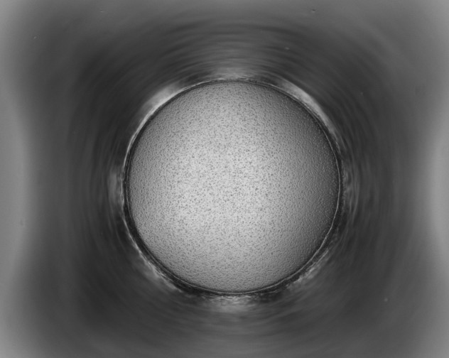 X0000086760810200704201744