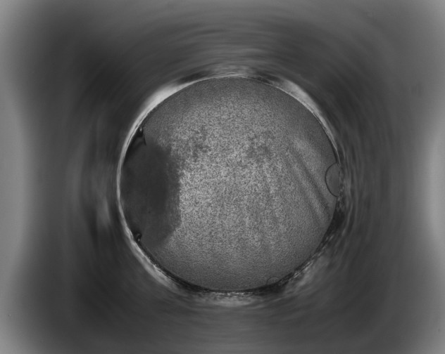 X0000086760811200704201744