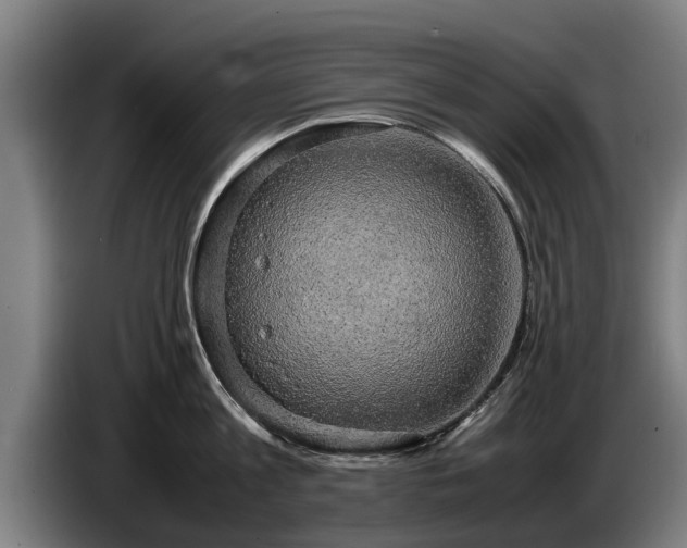 X0000086760813200704201744