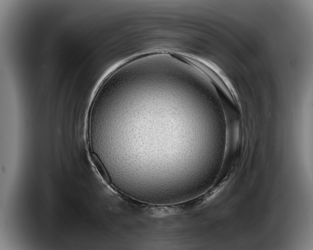 X0000086760815200704201744