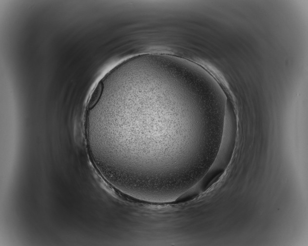 X0000086760816200704201744