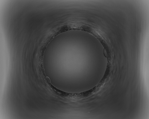 X0000086760817200704201743