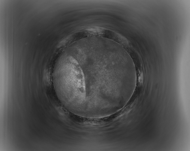 X0000086760819200704201743