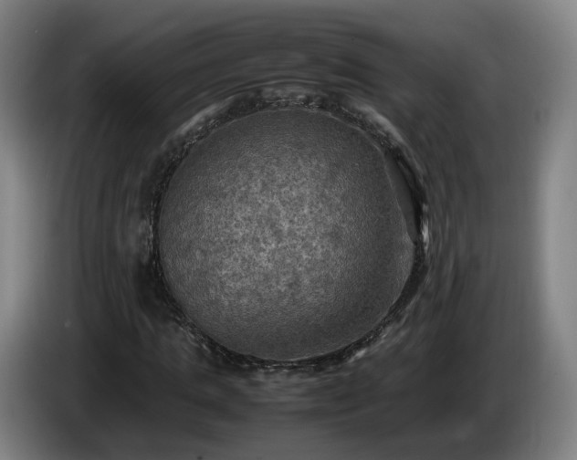 X0000086760821200704201743