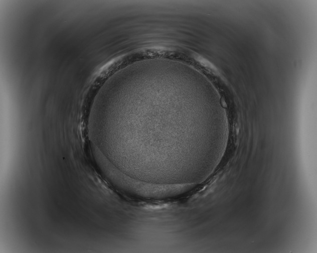 X0000086760822200704201743