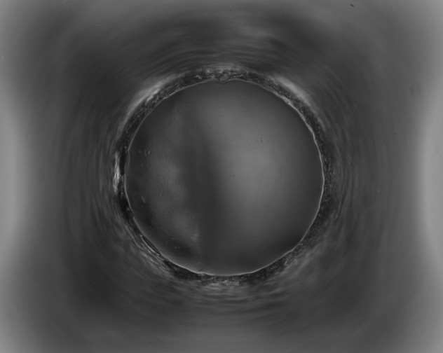 X0000086760823200704201743