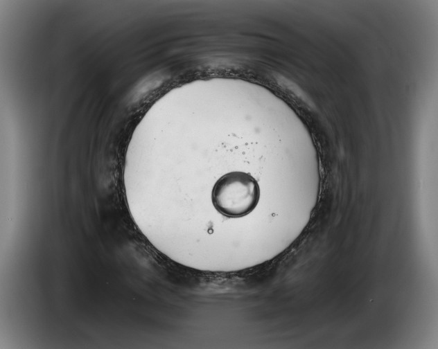 X0000086760824200704201743