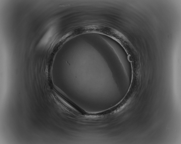 X0000086760825200704201743