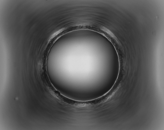 X0000086760826200704201743
