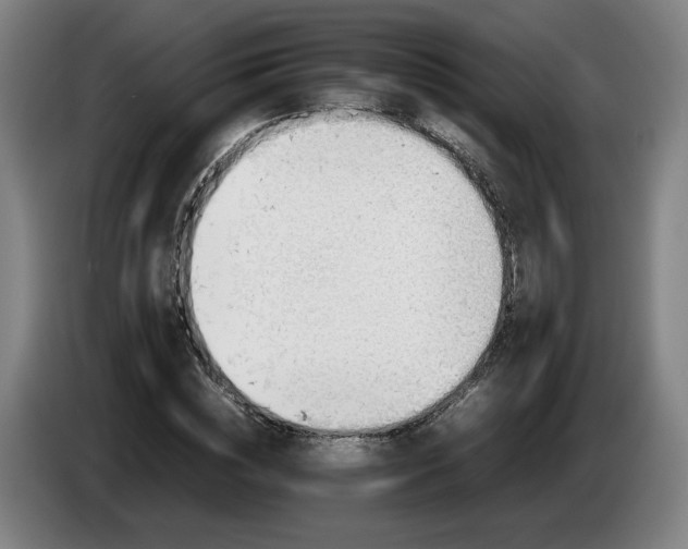 X0000086760828200704201743