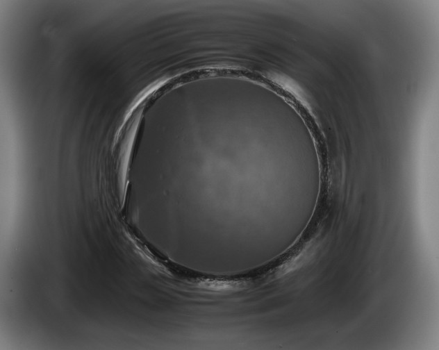 X0000086760829200704201743