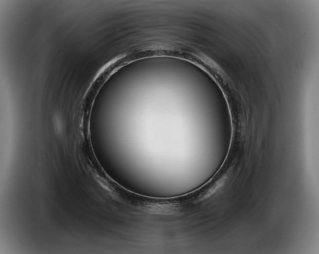 X0000086760830200704201743