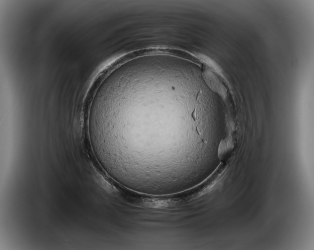 X0000086760831200704201743