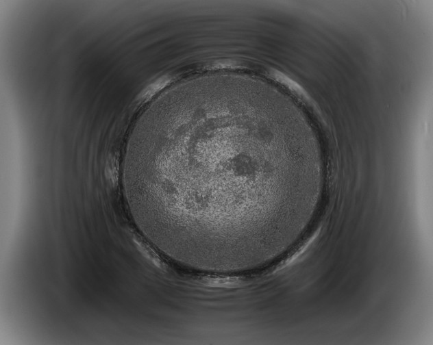 X0000086760833200704201743
