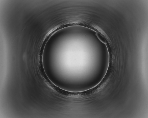 X0000086760834200704201743