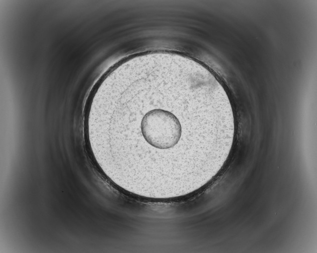 X0000086760836200704201743